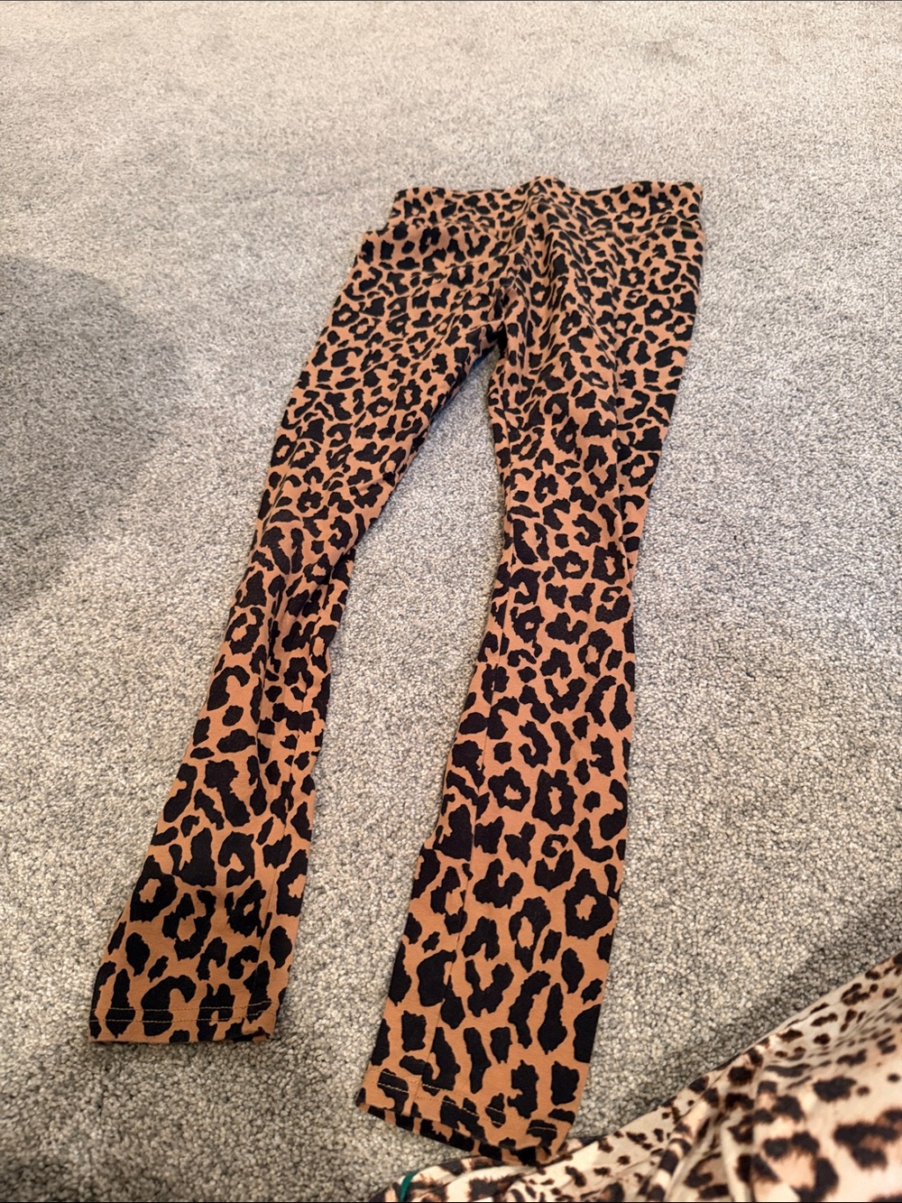 wild fable Leopard Print Leggings - Brown & Black